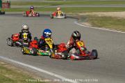 DSC_0162 (2)